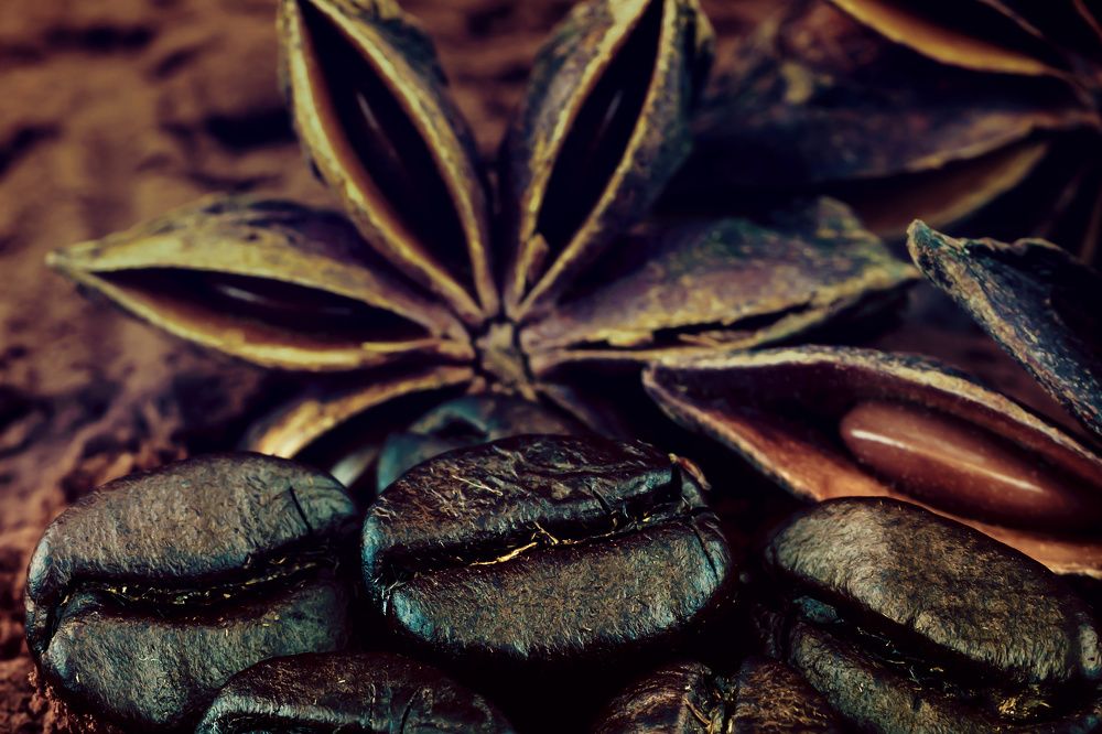 Photograph by Дмитрий Кулемин