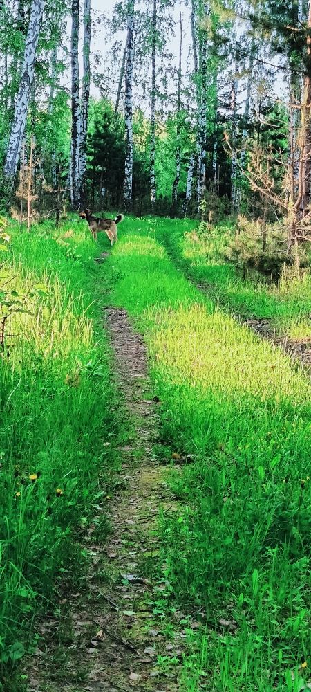 Photograph by Татьяна Пятернёва