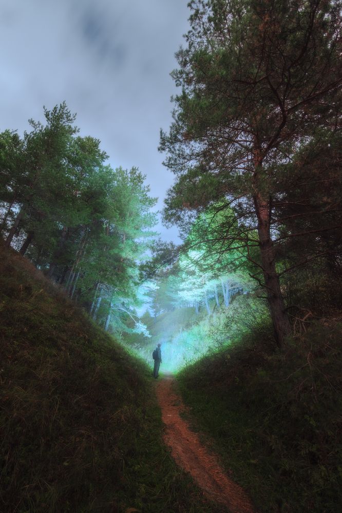 Фотография автора Bushmakin Egor