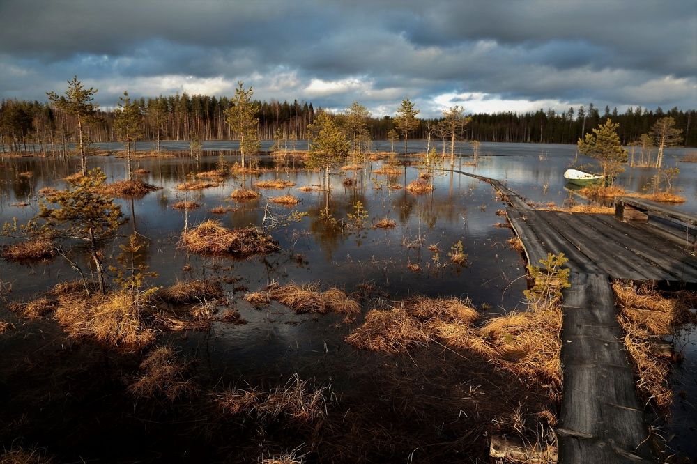 Весенняя тропа.
