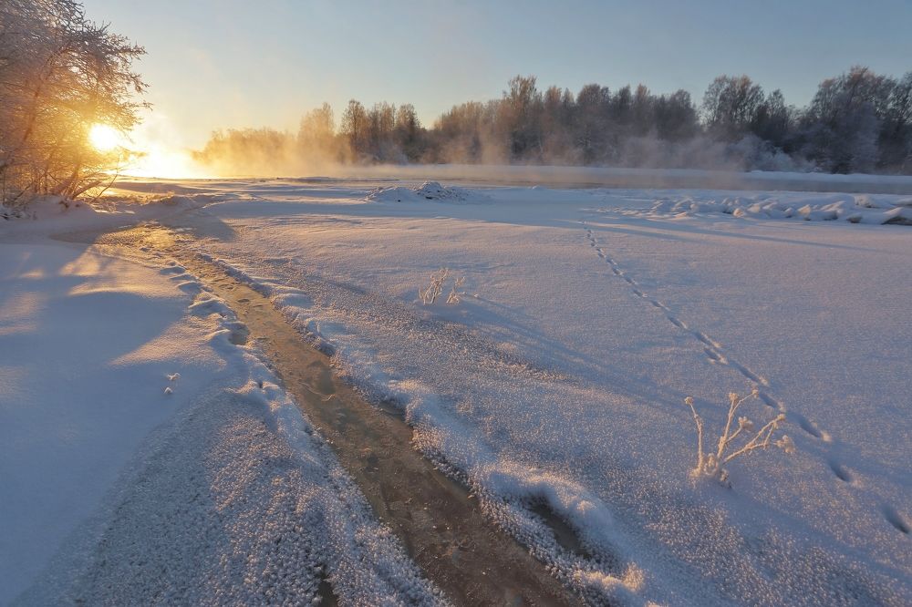 Солнечная тропка.