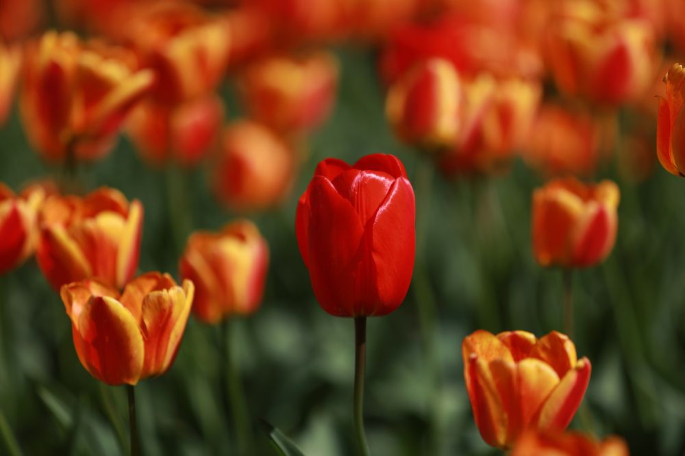 Photograph by Sergey Uskov