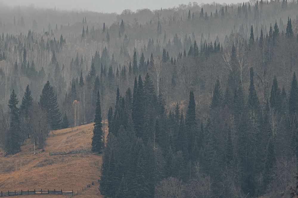 Photograph by Vitaly Lapin