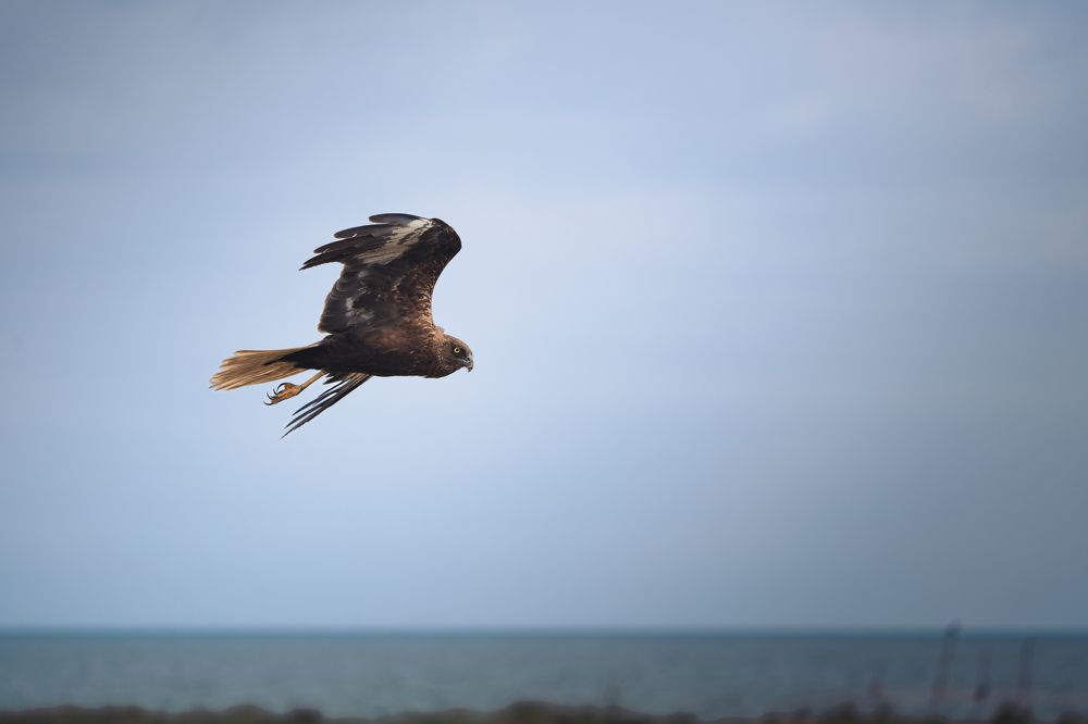 Photograph by NIkita Filippov