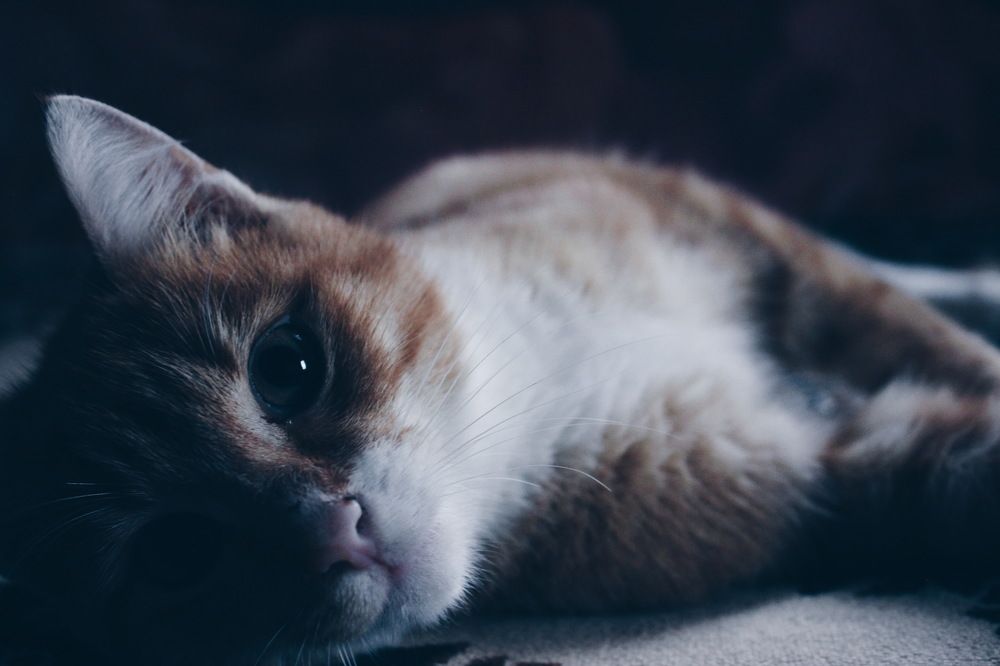 Photograph by Polina Pisar