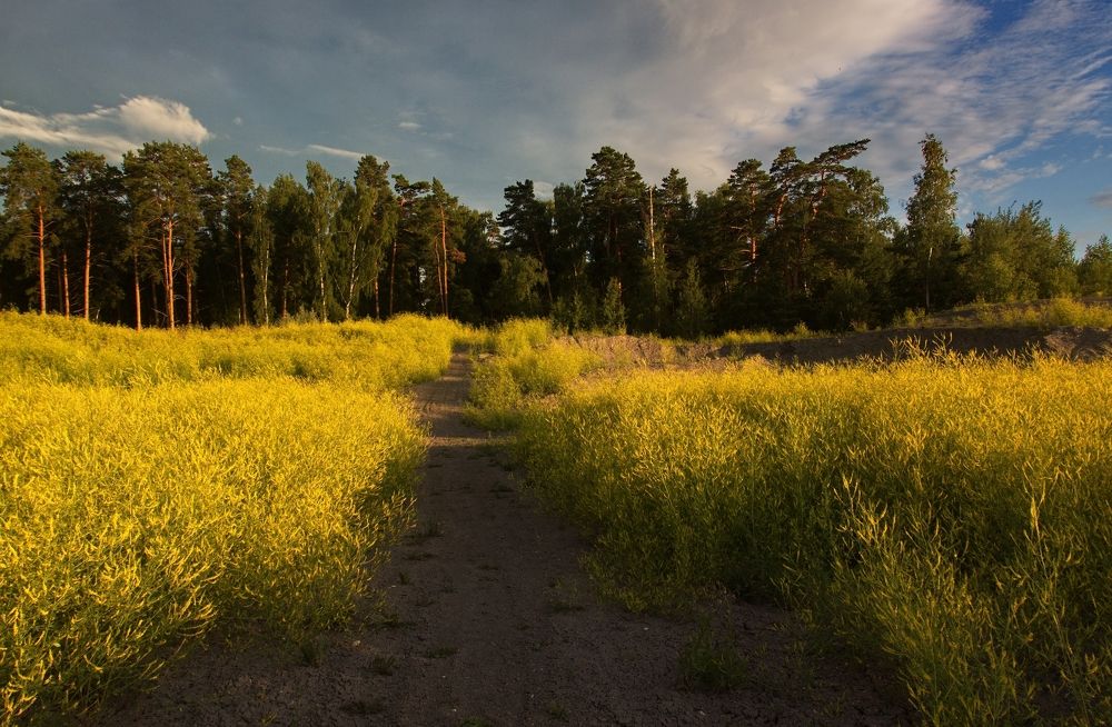 Вечерней тропой
