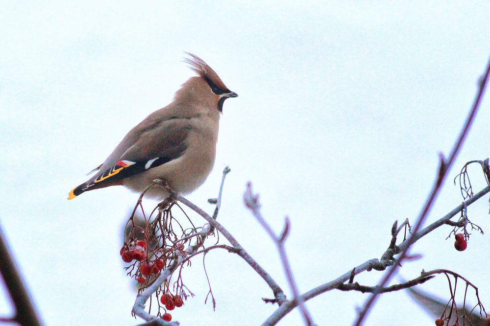 Photograph by Vitaliy Saposhnikov
