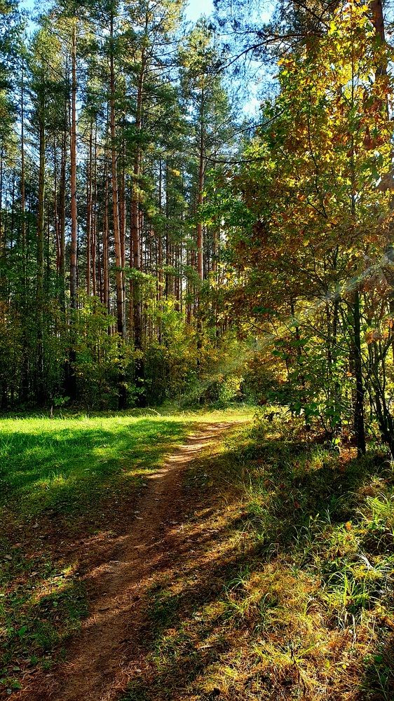 Фотография автора Ирина