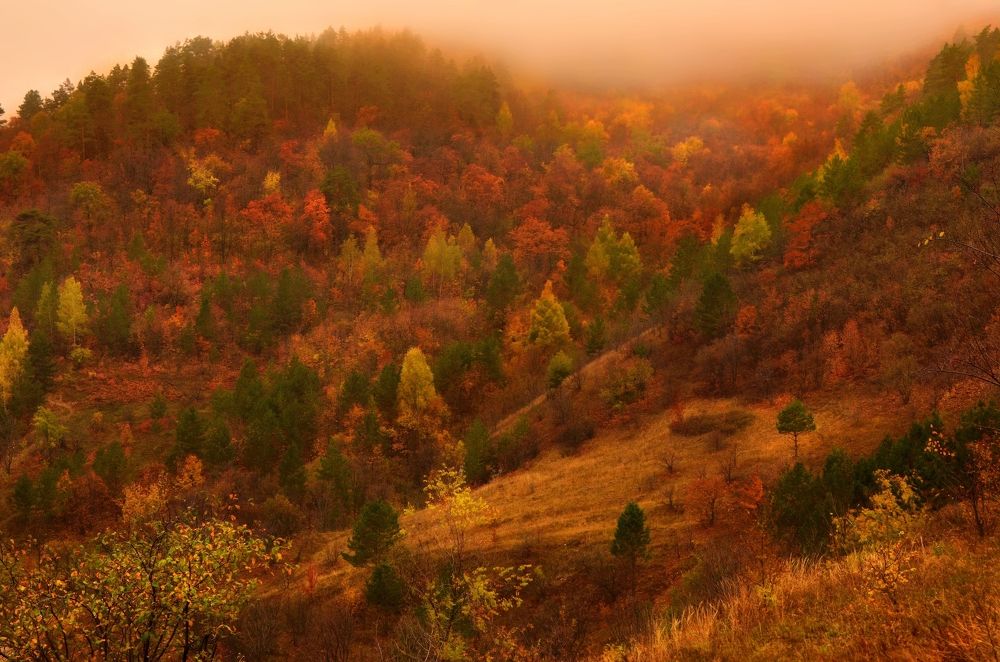 Photograph by Наталья Иванова