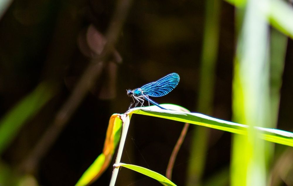 Photograph by Ольга Захарова