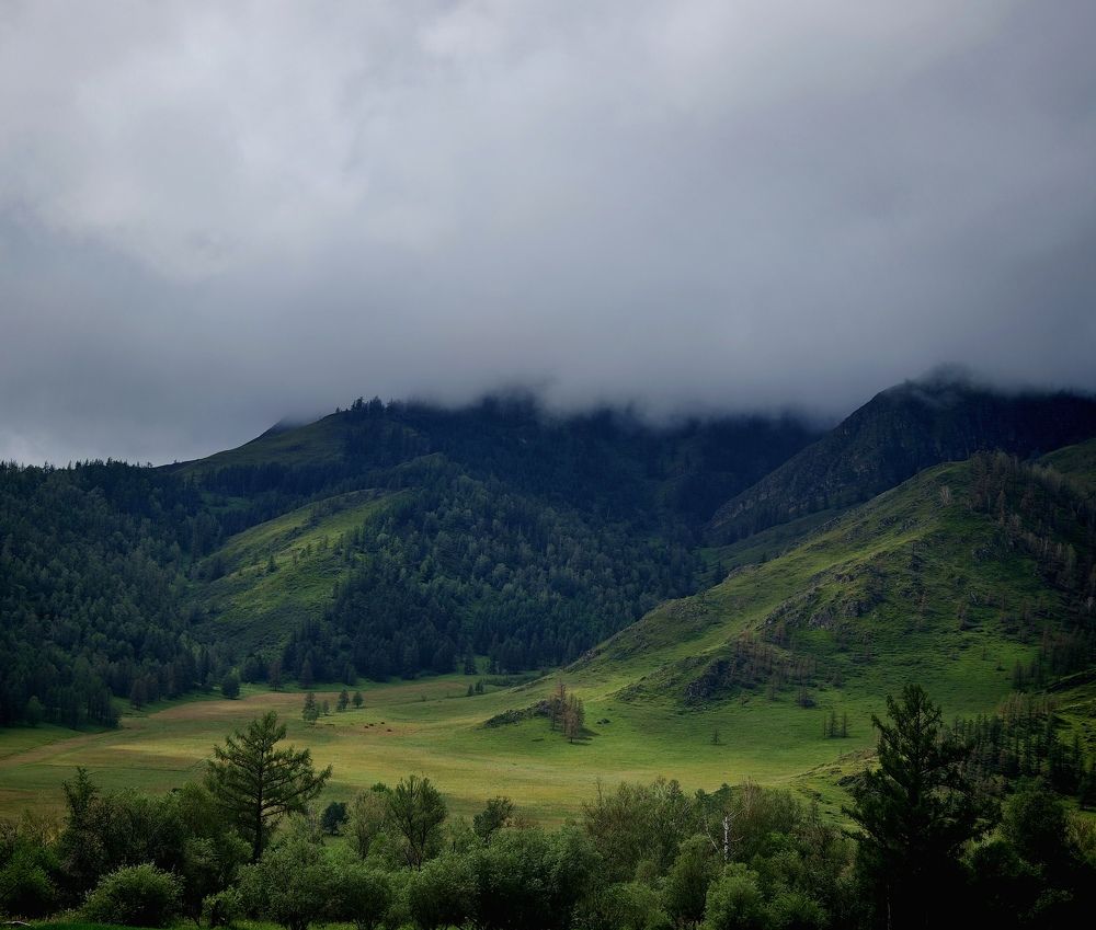 Photograph by Регина Джумалиева