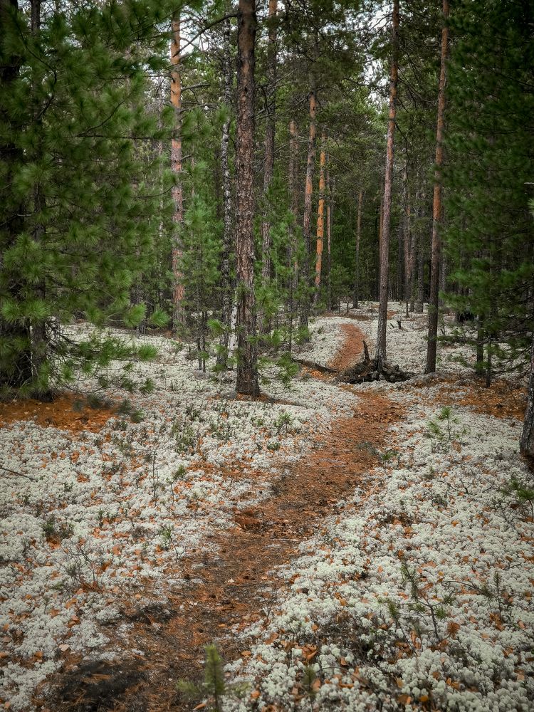 Photograph by Ольга Денисова