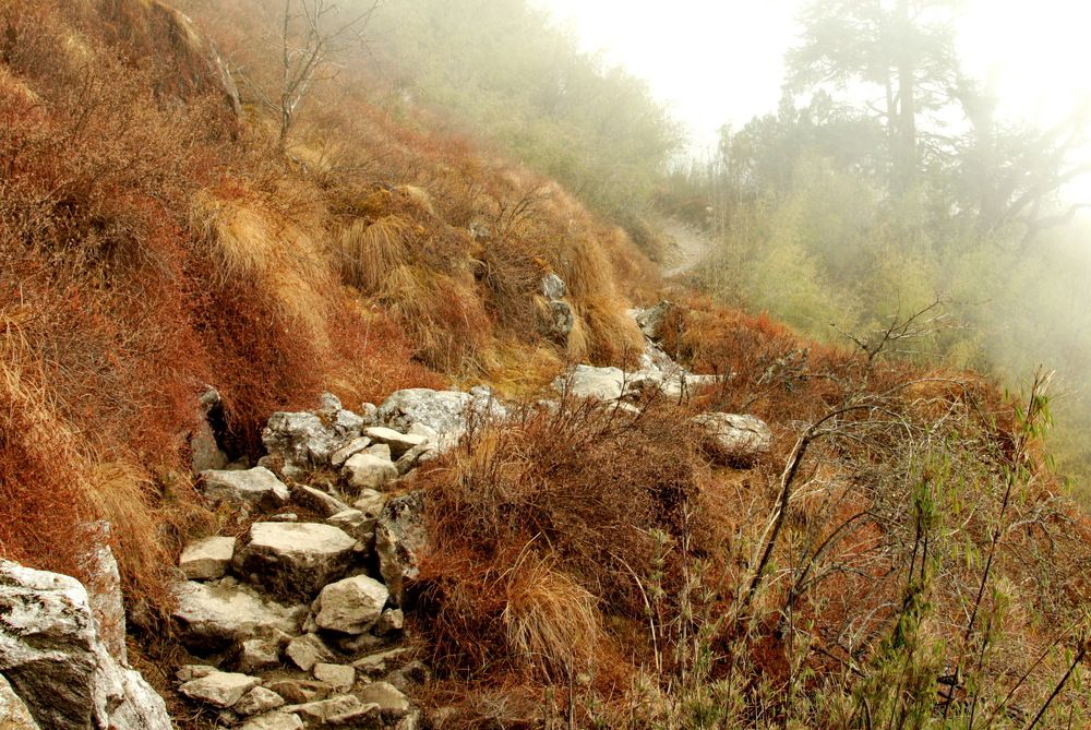 Photograph by Лада Денисова