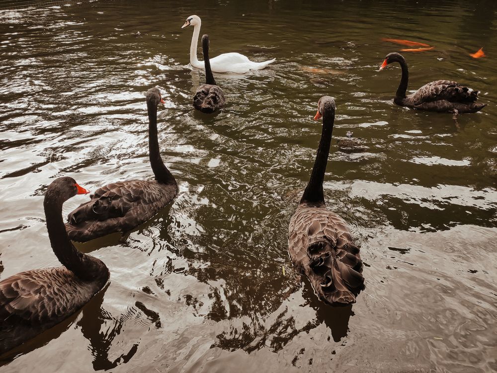 Photograph by Ольга Денисова