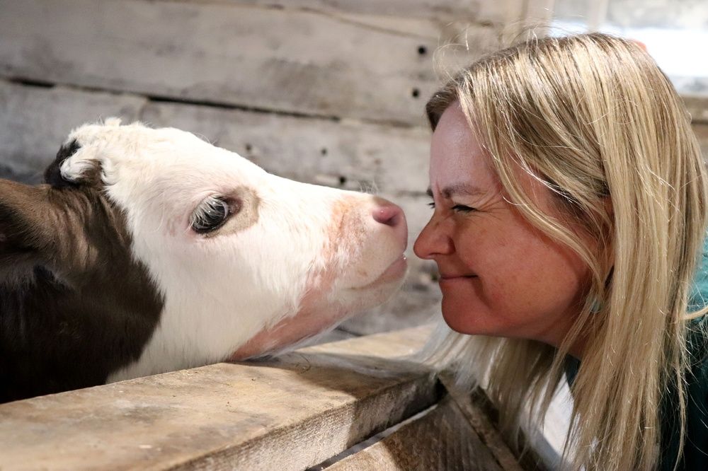 Все начинается с любви.