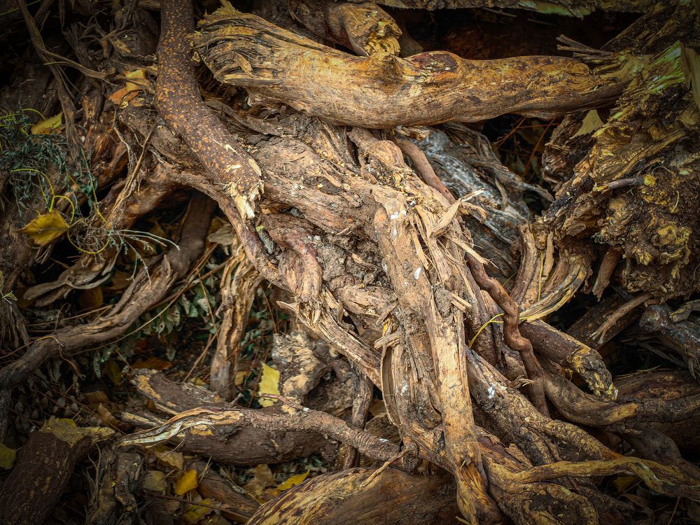 Photograph by Аркадий К