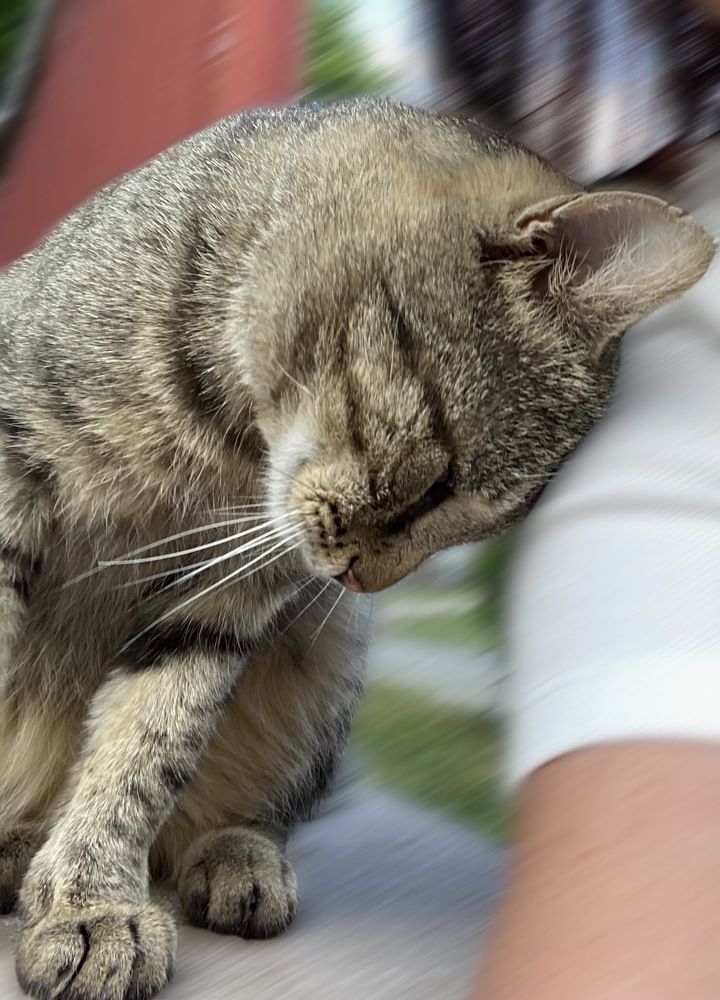 Ты мой друг