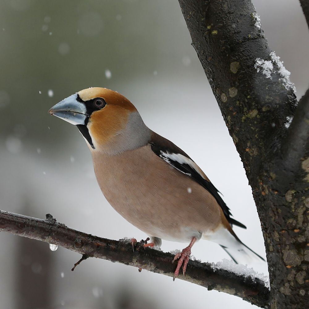 Photograph by Наталья Суслова