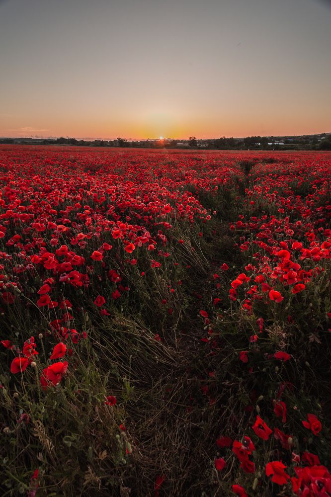 Photograph by Филипп Бабенко