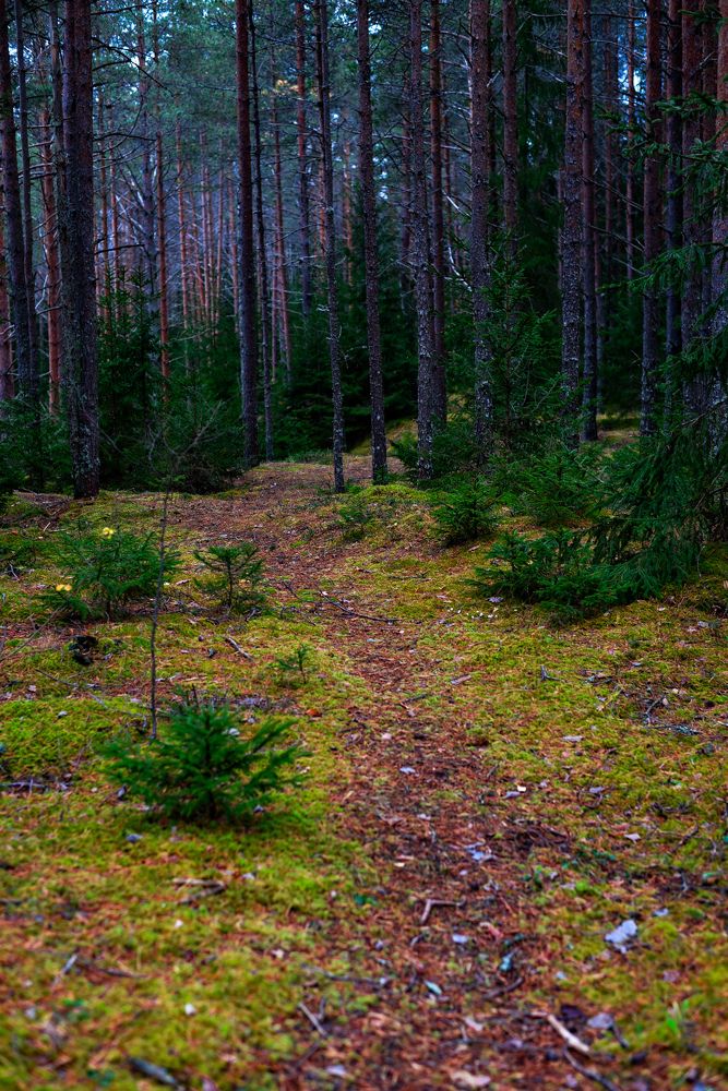 Photograph by Ljudmilla Pavljutsenkova