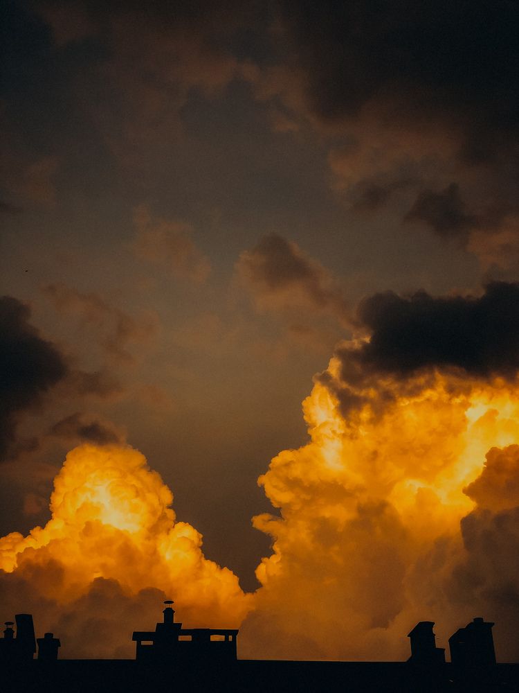 Фотография автора Алиса Исаева