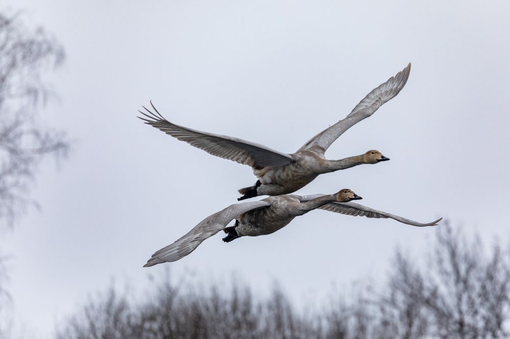 Фотография автора Ольга