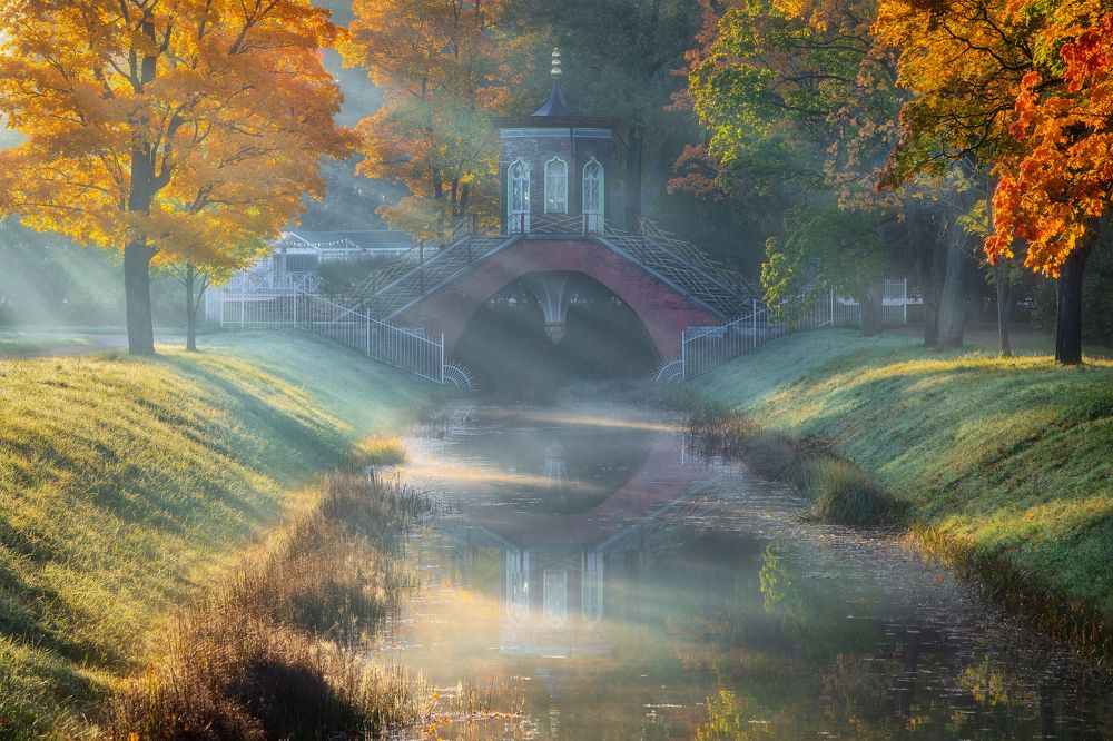 Фотография автора Alexander Pashenichev