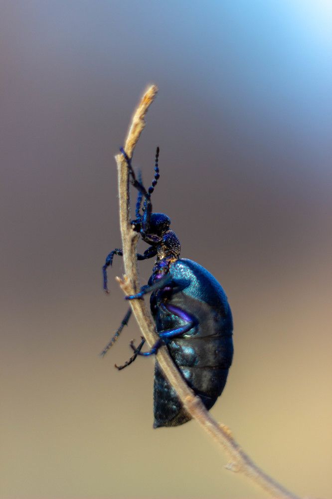 Photograph by Ольга Захарова