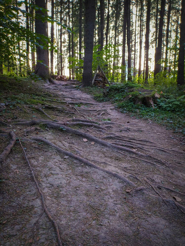 Photograph by Людмила Емельянчикова