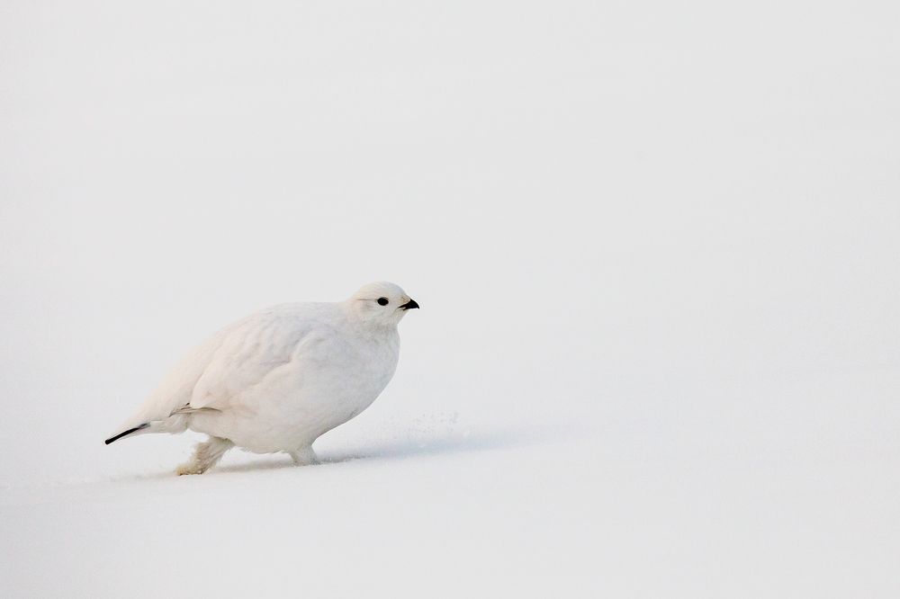 Фотография автора Ольга