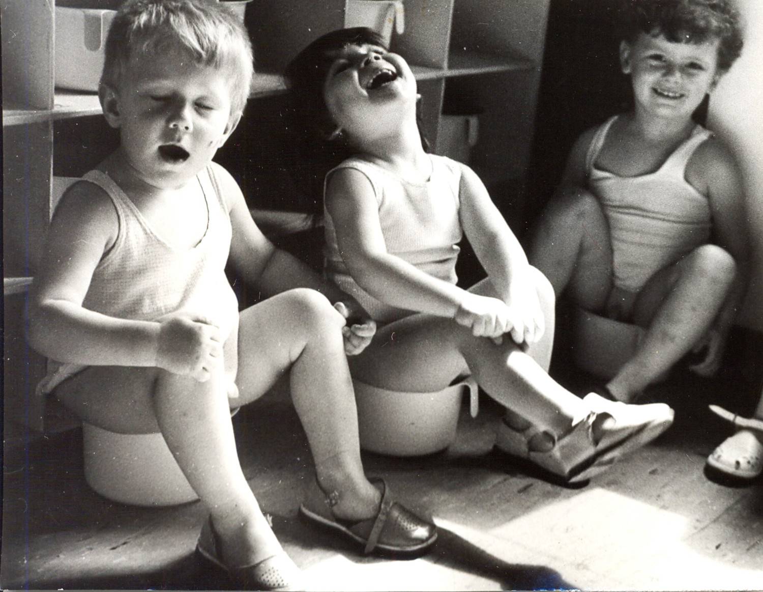 Photo #11245736