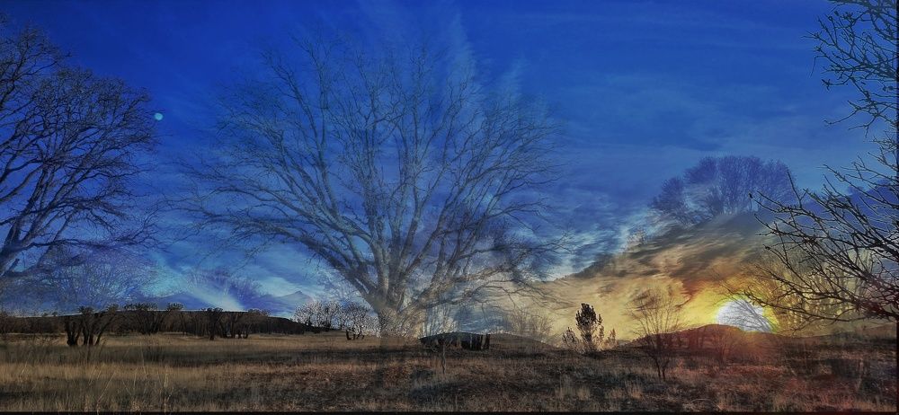 Photograph by Arezo Ghorbani