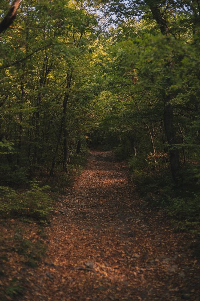 Photograph by Филипп Бабенко