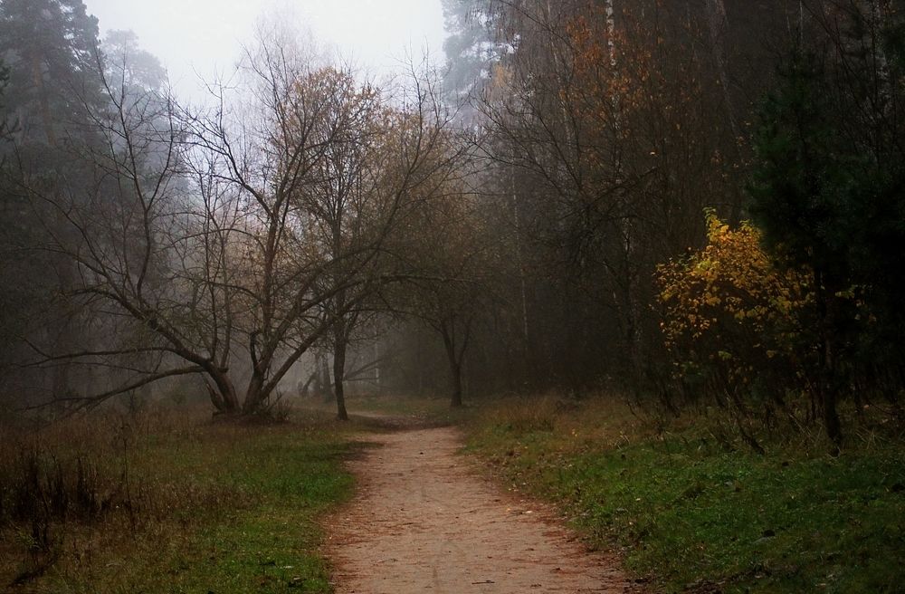 Утренней тропой