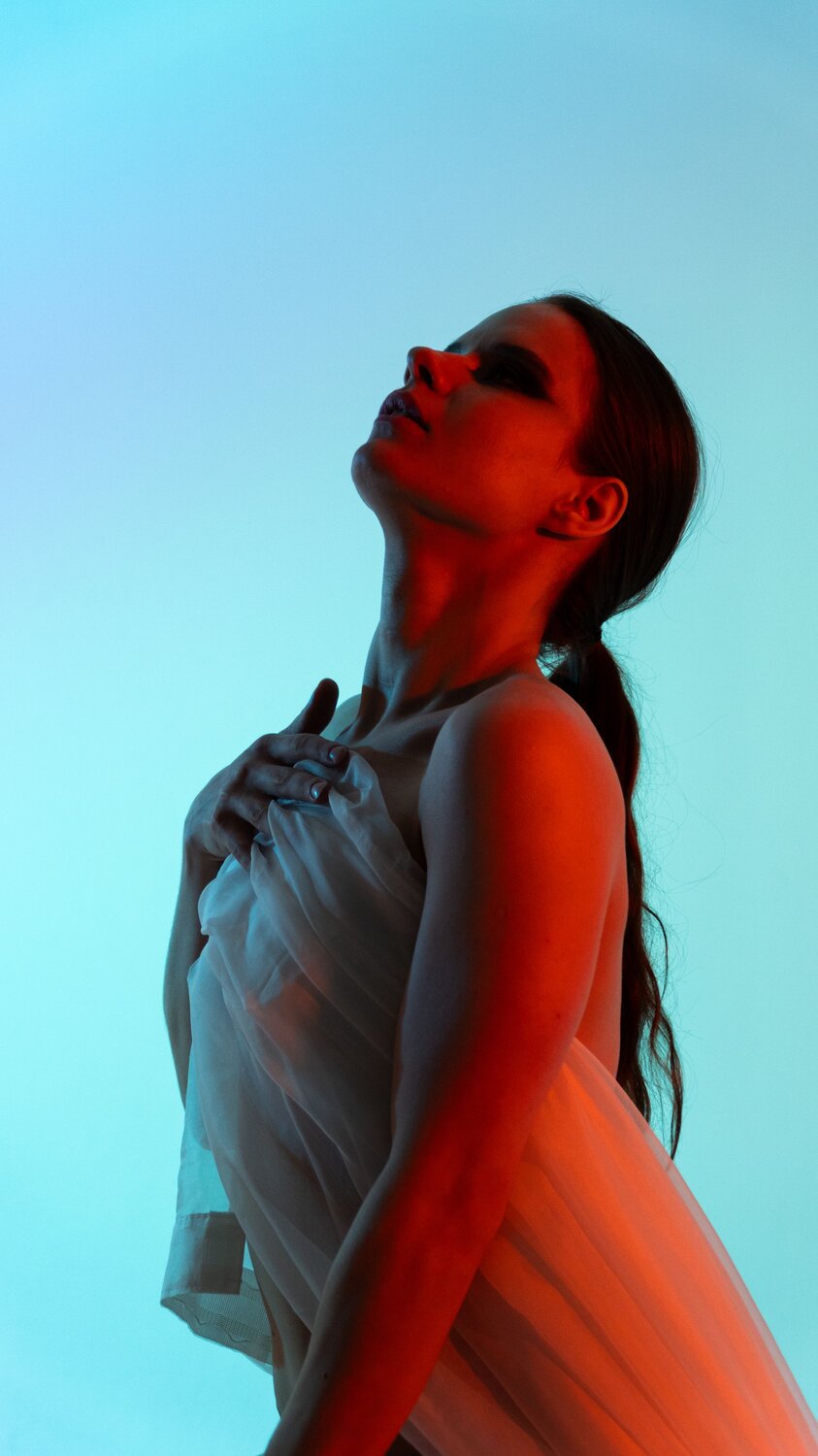 Photo #11245788