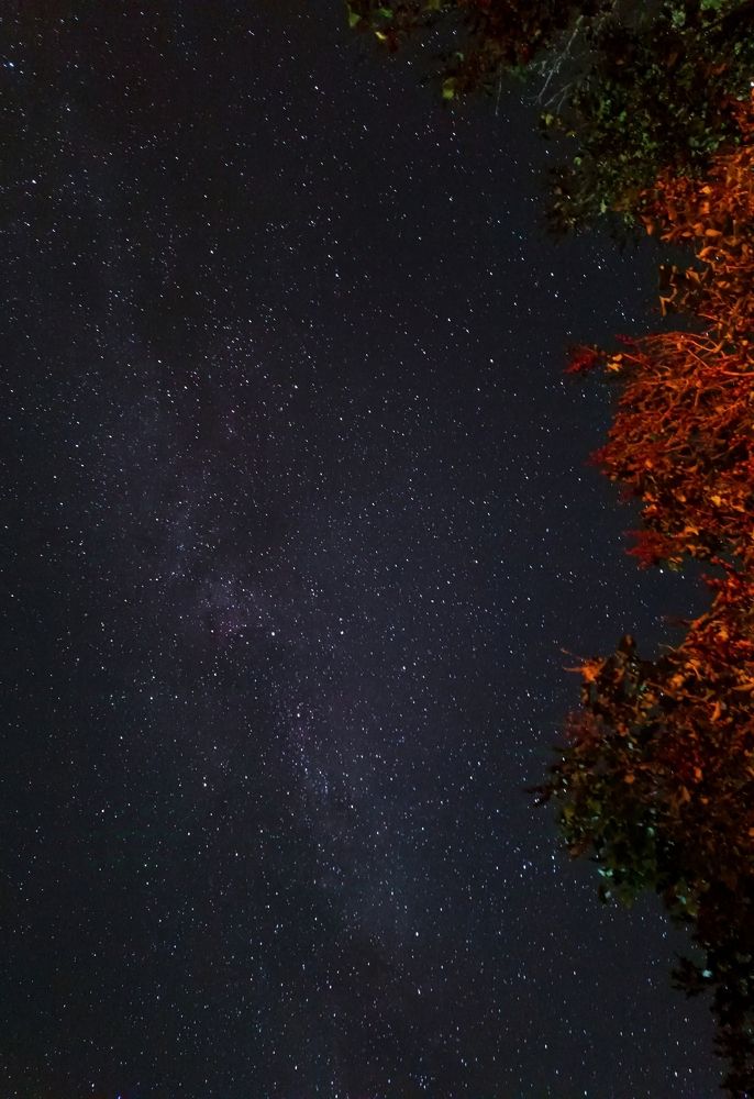 Photograph by Мария Буденкова