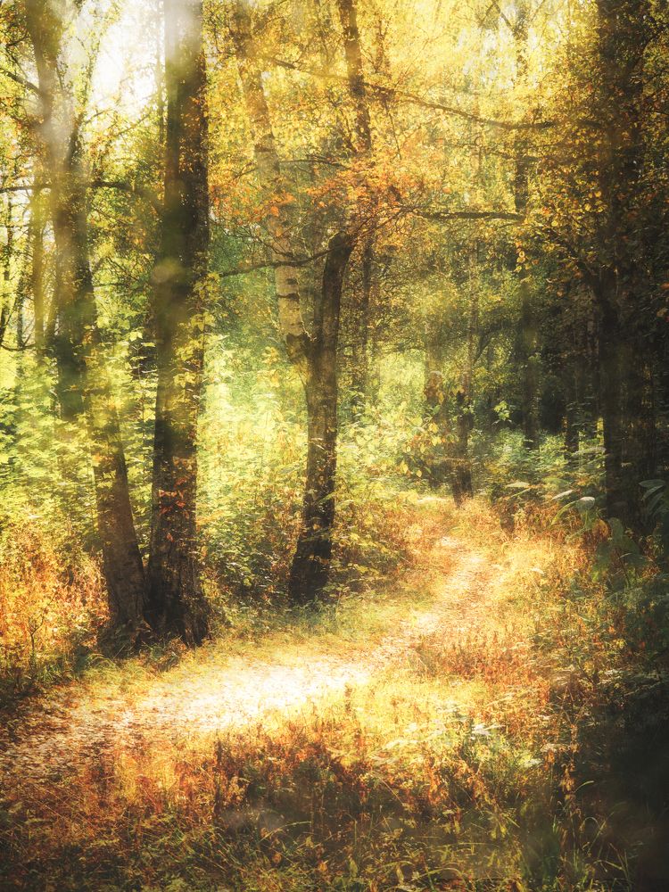 Photograph by Маргарита Смоленская