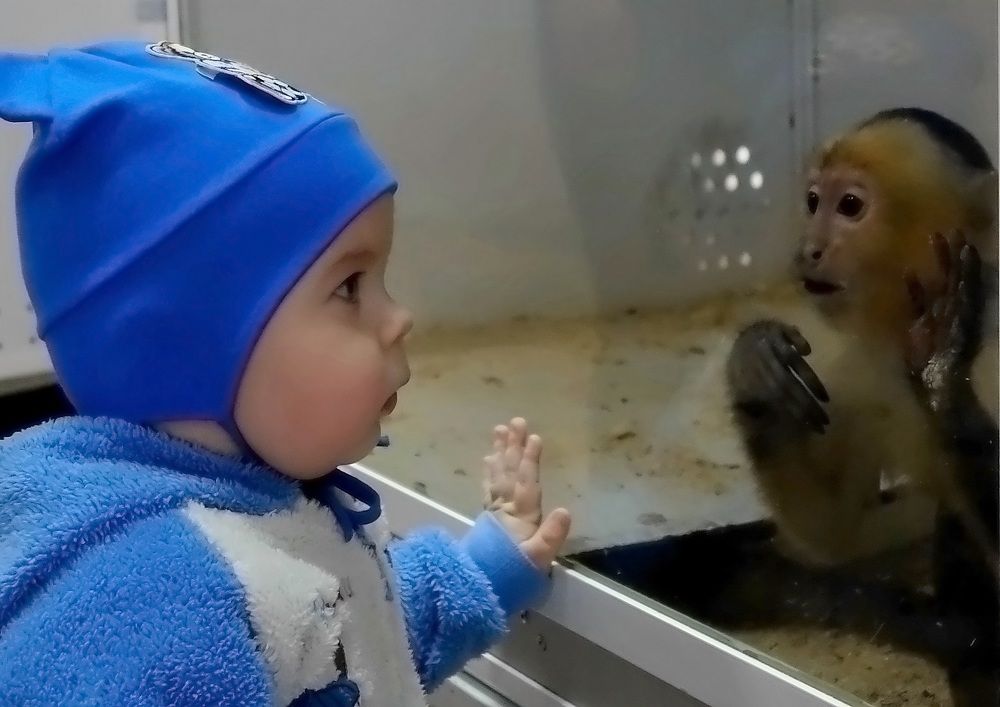 Photograph by Виктор Решетников