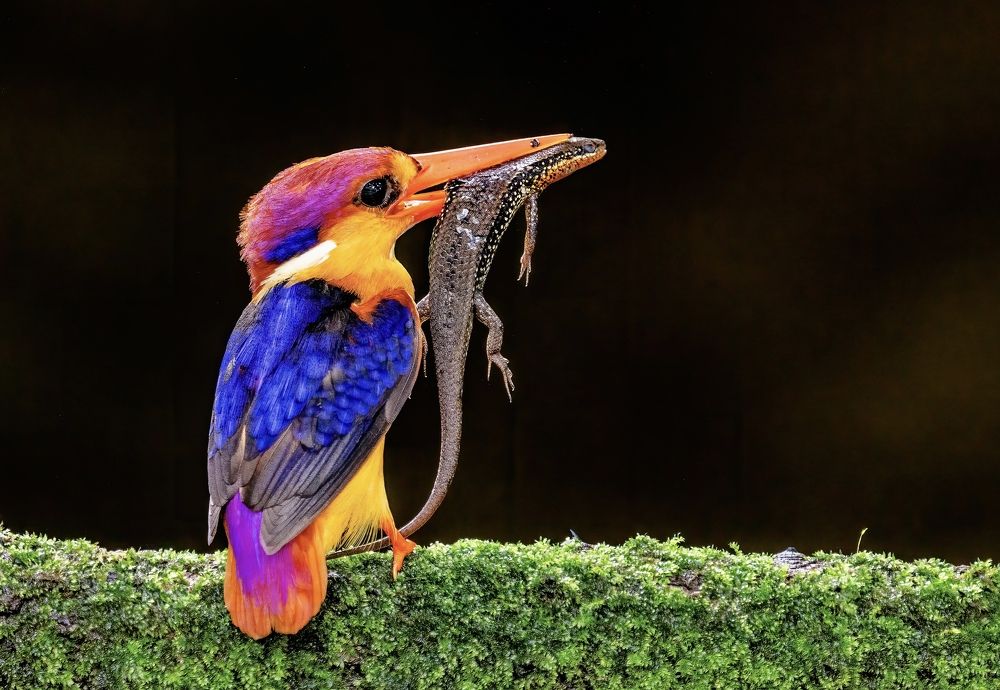 Photograph by Nitin Baste