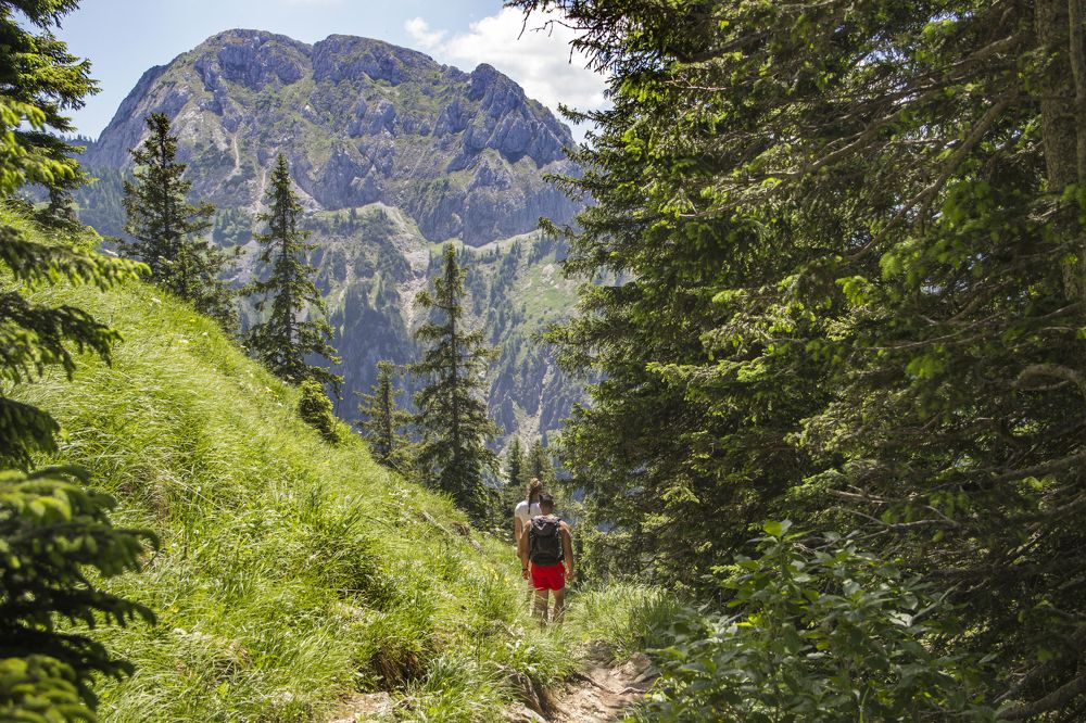 Альпийские тропы