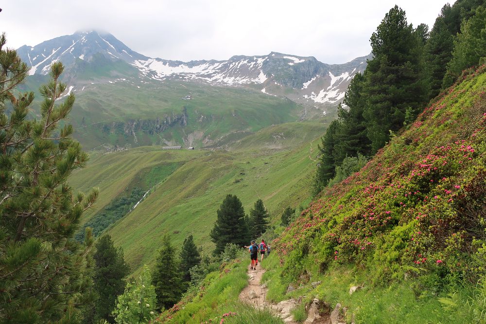 Альпийские тропы