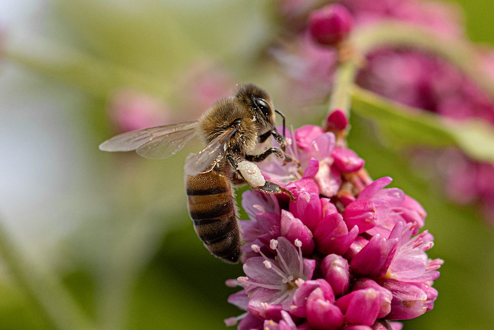 Photograph by Басыров Валерий