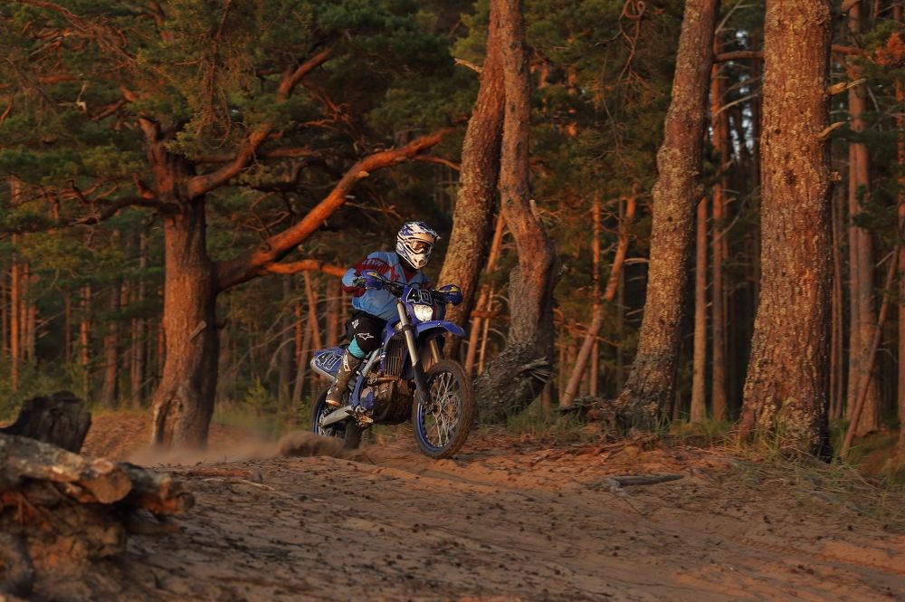 Photograph by Николай Раппу