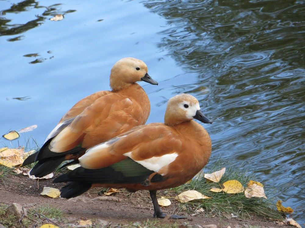 Photograph by Татьяна Поминова