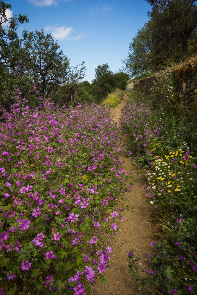 Photograph by Дария Максимова