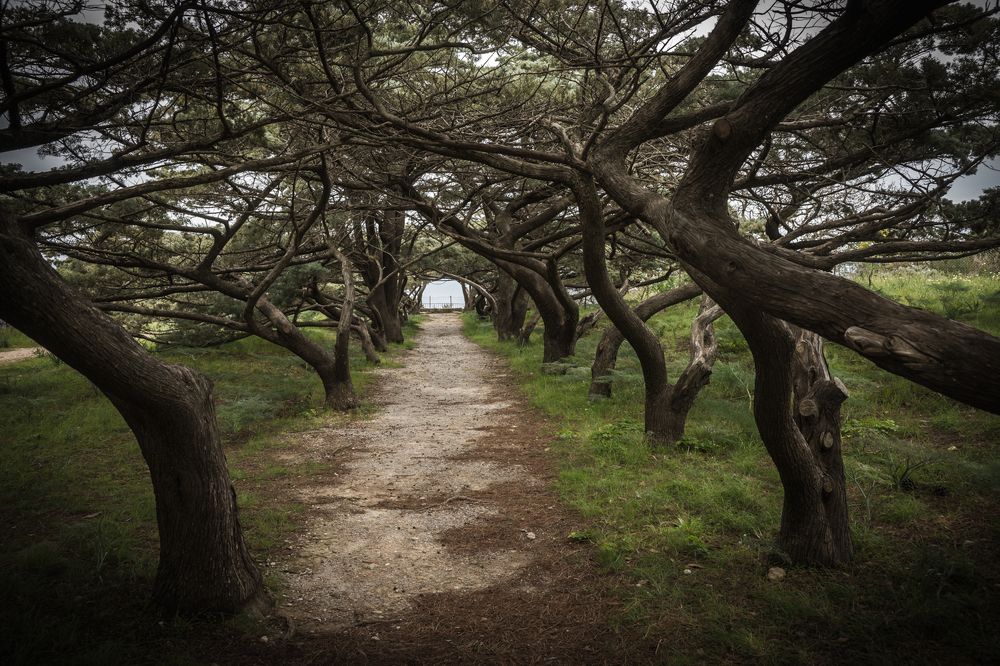 Photograph by Дария Максимова