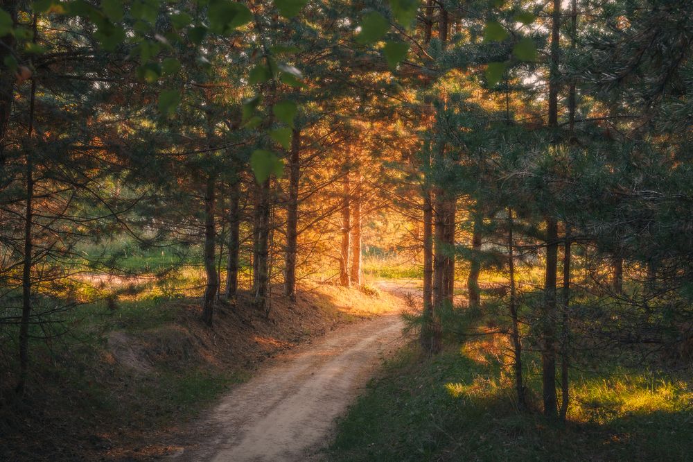 Фотография автора Bushmakin Egor