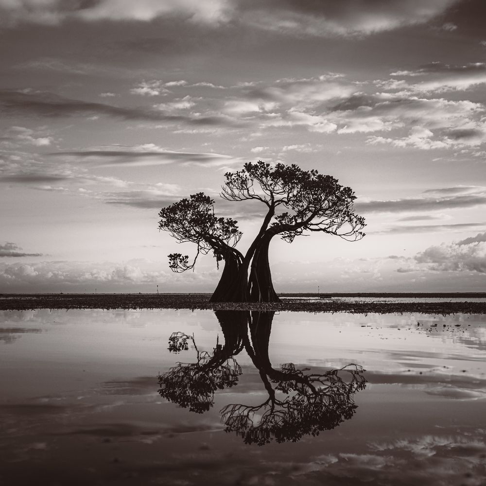 Photograph by Dmitry Ishniyazov