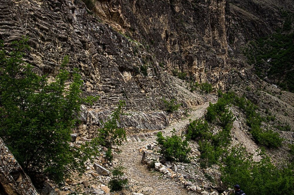 Фотография автора Екатерина Першина