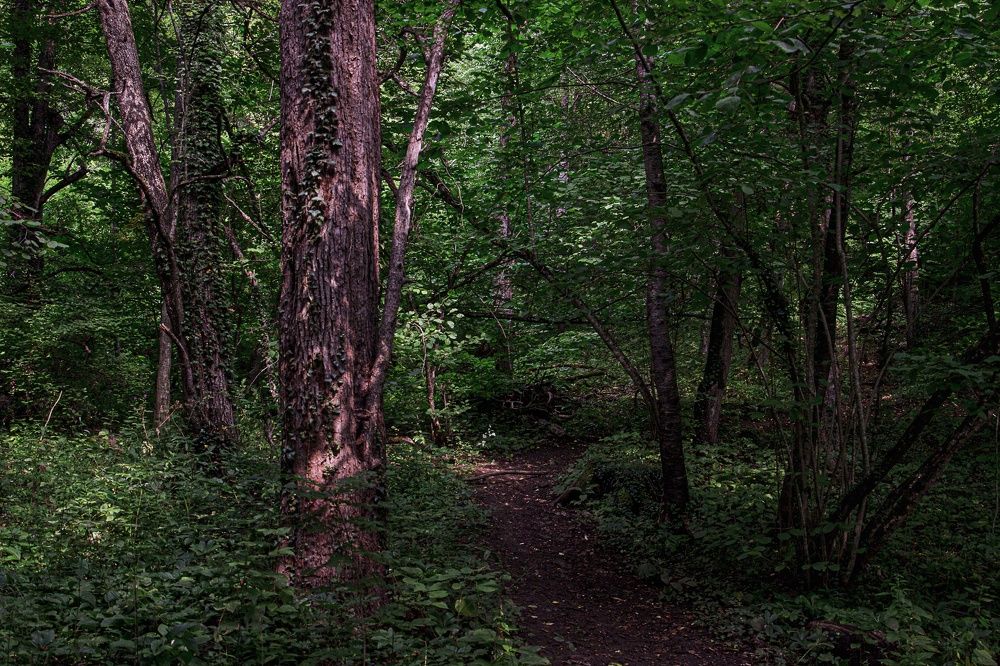 Фотография автора Екатерина Першина